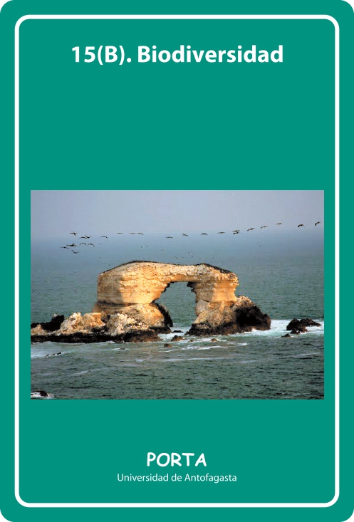 Portada Frontal